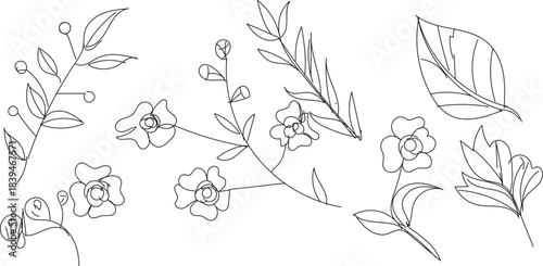 Handdrawn floral elements
