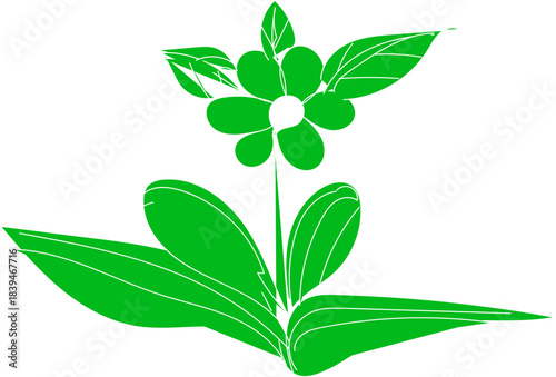 Green flower with leaves