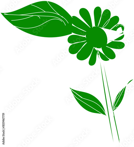 Green flower with leaves