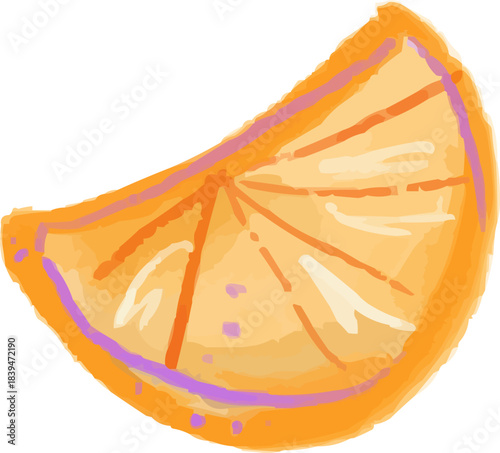 Watercolor Sketchy Isolated Citrus Orange Slice