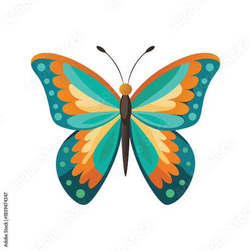 Colorful Butterfly Illustration With Orange Teal Yellow and Blue Wings insect animal
