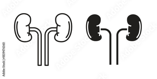 Kidney icons silhouettes. Vector elements for design.