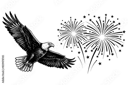 eagle in the sky,
Eagle Soars with Fireworks and Stars,
Freedom & Independence Day Illustration