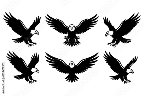 set of Six Bald Eagles in Flight,
Vector Art of Six Bald Eagles in Flight,
Symbol of Freedom for POD