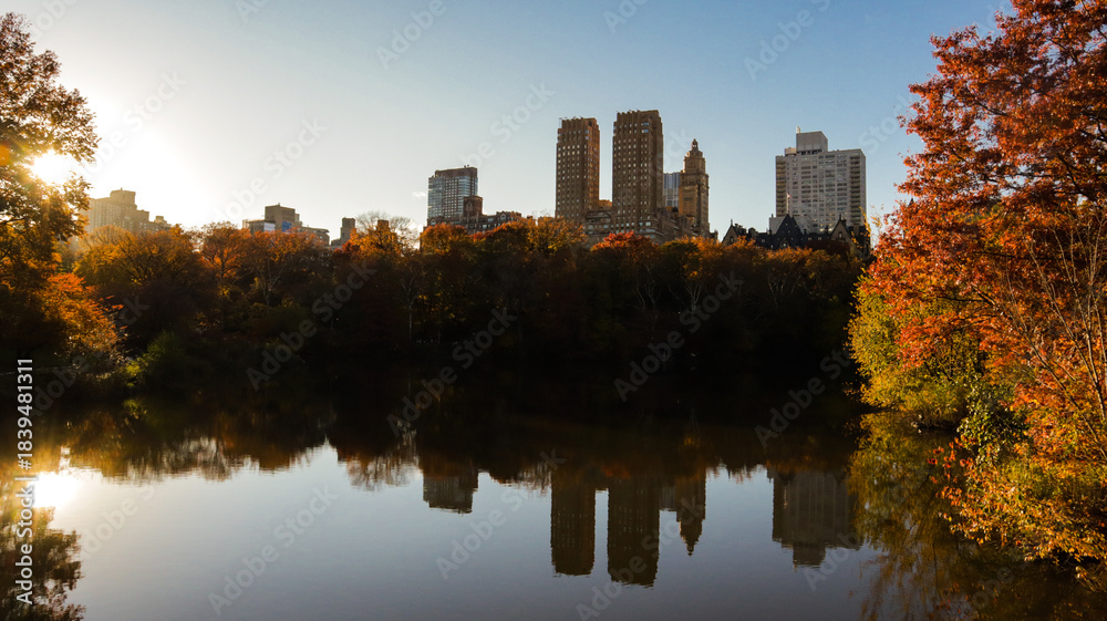 Obraz premium Skyline from Central Park