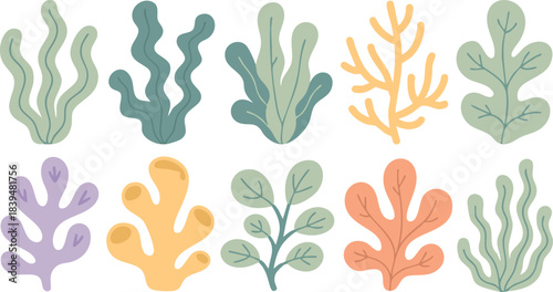 Various cartoon seaweeds and corals vector art illustration isolated on White Background