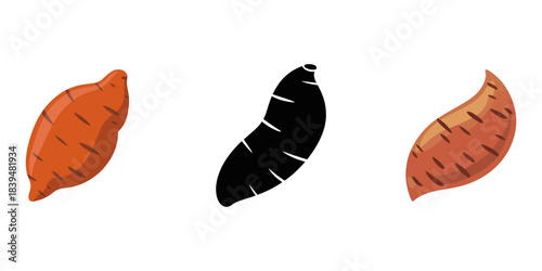 potato on transparent png continuous one line drawing.