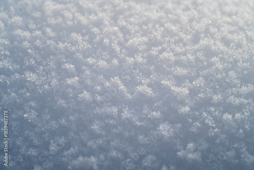 Plakat Just Snow