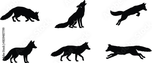 Set of black silhouettes of a fox in various poses including standing, howling, running, and jumping on a white background
