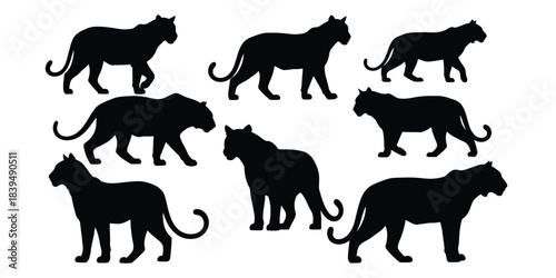 Silhouette collection of majestic mountain lions in various poses and perspectives