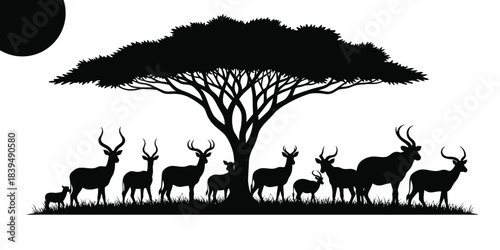 Silhouette of african wildlife including deer and a large acacia tree at sunset