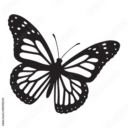 Graceful butterfly with patterned wings gliding through calm open air.