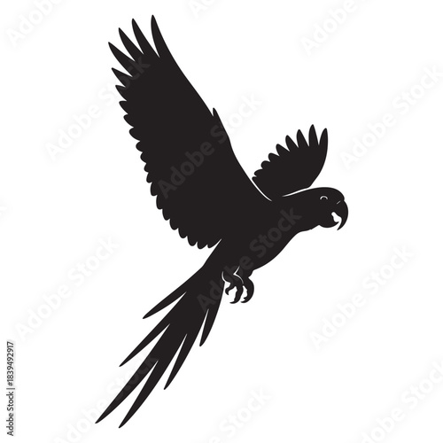 Soaring parrot with extended wings gliding across open tropical sky.