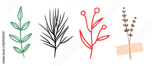 Illustration of four different types of plants with leaves and flowers in various colors