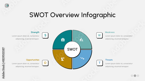 SWOT Overview Infographic