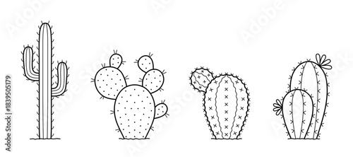 Set of cactus. Collection of various spiny desert plants or cacti with thorns. Doodle sketch style. Isolated vector illustration.