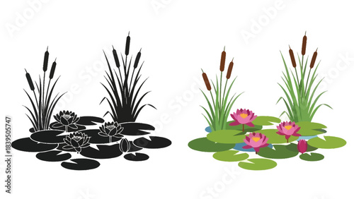 Stylized illustration depicting water lilies and cattails in color and monochrome