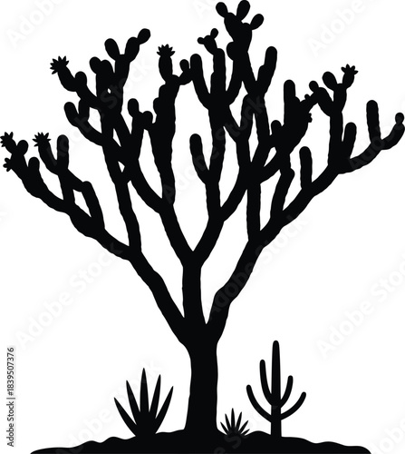 Silhouette of a cholla cactus tree with desert plants and ground detail isolated on transparent background