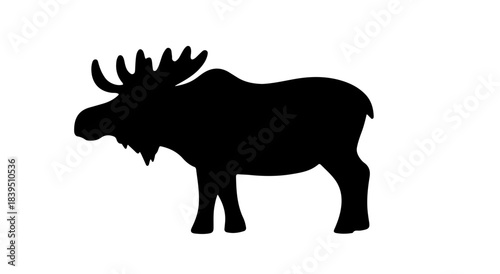 Silhouette of a person standing against a black background silhouette