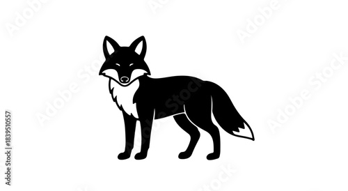 Silhouette of a woman dancing gracefully in the dark silhouette