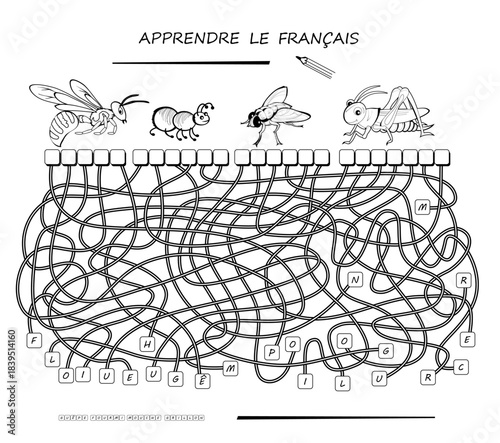 LEARN FRENCH. Educational page for children. Logic puzzle with insects to learn French. Find correct places for letters, write them and read the words. Hand drawn vector black and white illustration.