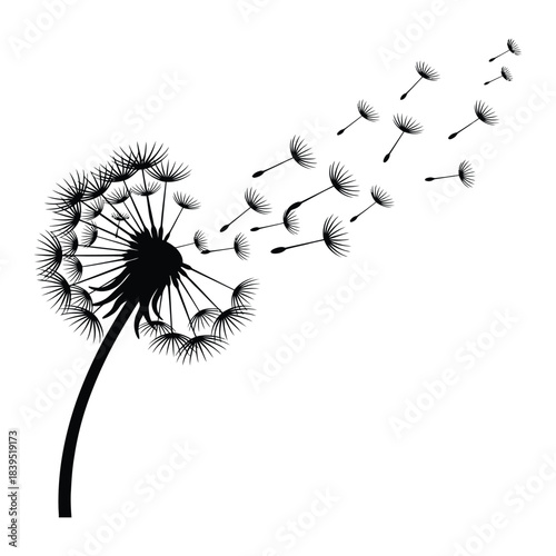 Dandelion seeds scattering in wind, a delicate nature silhouette.