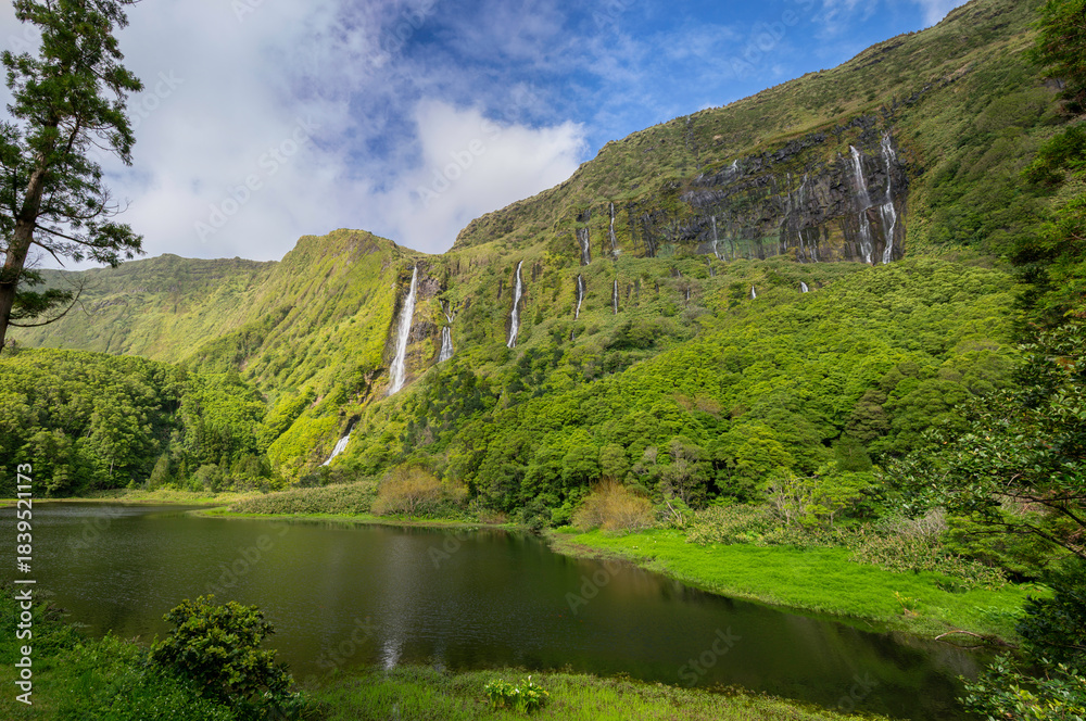 Fototapeta premium Poço da Ribeira do Ferreiro, Poço da Alagoinha, Flores island, Azores.