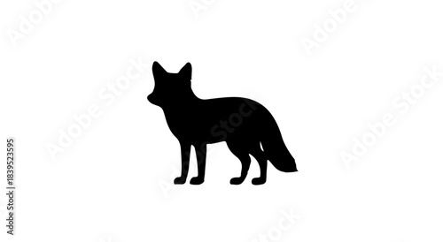 A standing fox in a stark white outline silhouette against a black background