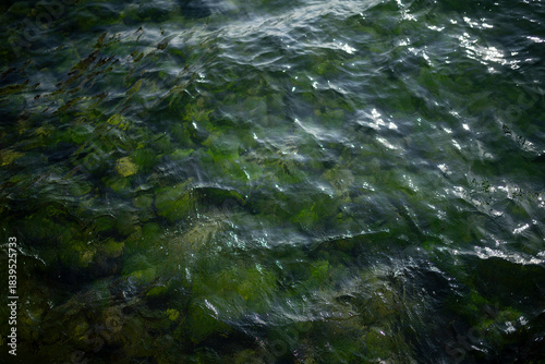Plakat Water