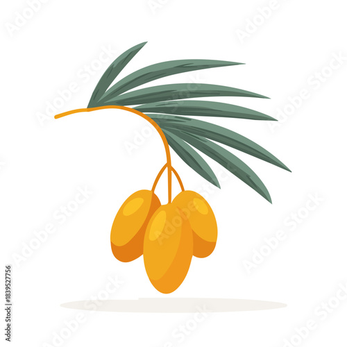 Date Palm Fruit flat vector illustration in a modern and simple 2D style, placed on a white background.