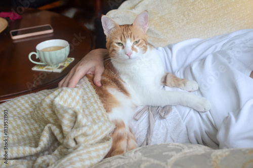 A small yellow-and-white cat rests peacefully on its owner’s lap, enjoying the warmth and comfort