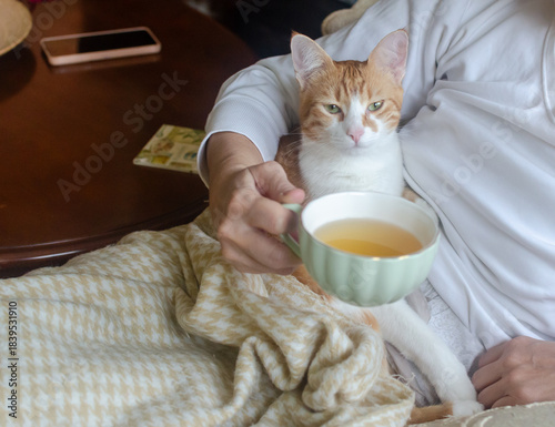 A small yellow-and-white kitten rests peacefully on its owner’s stomach, while she drinks tea