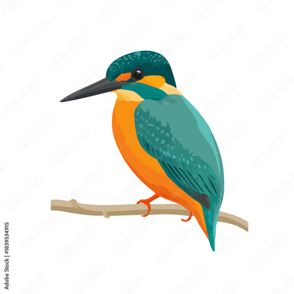 Fototapeta premium Clean 2D flat vector depiction of a Kingfisher, designed in minimalist modern style with white background.