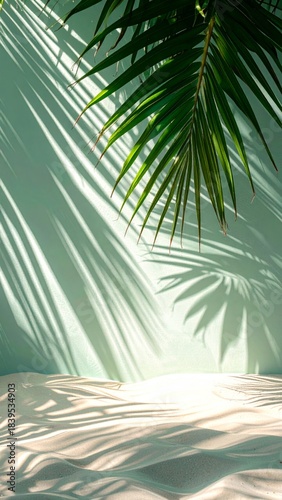 Palm Frond Shadows on Teal Wall and Sandy Floor with Bright Sunlight