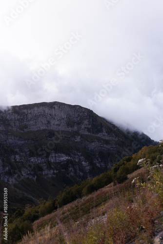 Misty Mountain Scene, Quiet Mountain Slope Cloaked In Clouds With Rocky Features And Dense Shrubbery
