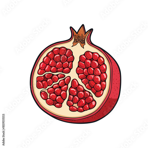 Fresh ripe red pomegranate fruit half with juicy seeds vector illustration isolated on white background.