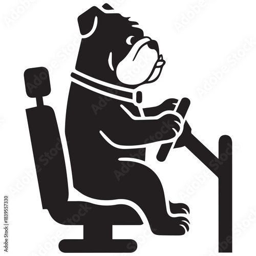 Bulldog driving Vector, illustration