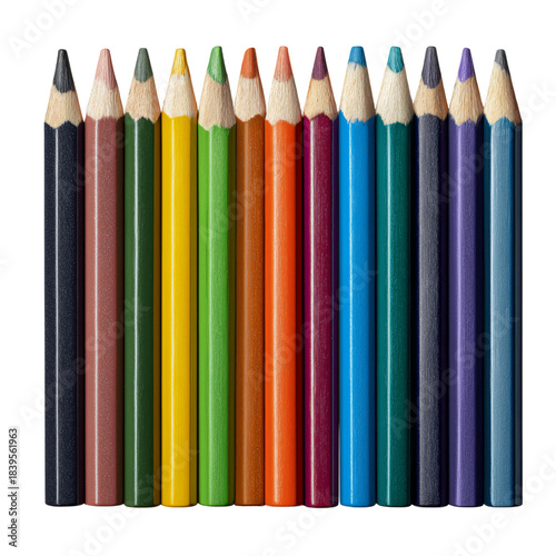 Colorful Pencils Arranged in a Line on a White Background for Art and Creativity