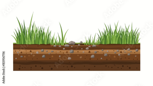 a detailed illustration showcases a cross section of soil layers with visible grass rocks and varying earth tones displaying the composition of ground