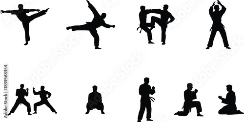 Collection of martial arts silhouettes featuring various karate, kickboxing, and training poses, including combat stances, practice movements, and kneeling meditation positions for sports 