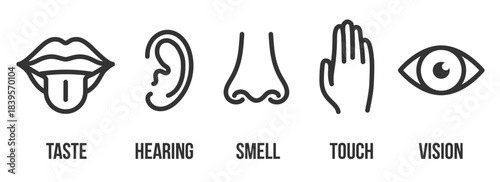 Colorful Cute Monsters Expressing Five Emotions – Vector Illustration