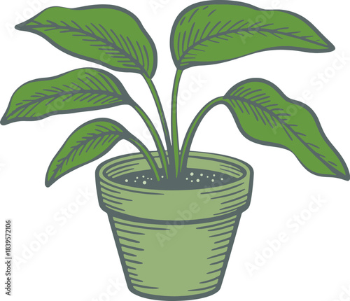 Colored potted tropical houseplant drawing vector illustration engraving style home decor green plant