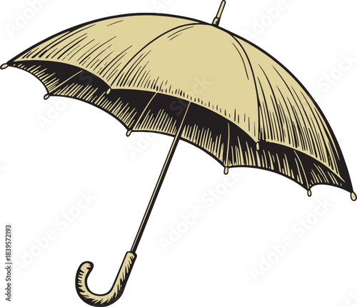 Open umbrella protects from rain vintage woodcut drawing black and beige vector illustration hatching style