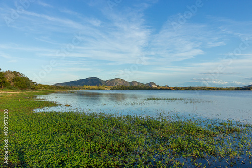 Landscape view of a calm lake with green vegetation in the foreground and distant mountains under a blue sky on a sunny day.