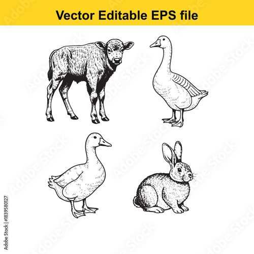  vector illustration of a lamb, goose, duck, and rabbit in black and white