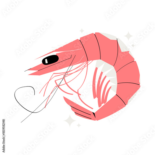 Colorful shrimp vector illustration with clean shapes and elegant lines. Perfect for seafood menus, restaurant branding, packaging, coastal food designs and gourmet culinary projects. Isolated