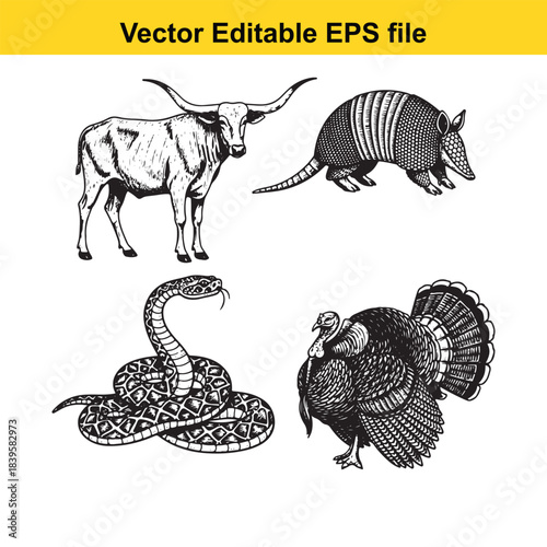  vector illustration of various animals including bull, armadillo, snake, and turkey in editable eps format for graphic design
