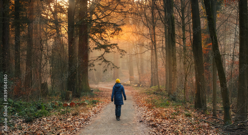 Fototapeta premium Woman walking in a forest with golden glow and mist illuminated by the beautiful sunlight