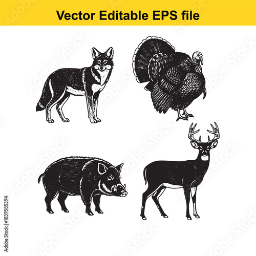 vector illustration of various wild animals in black and white eps format