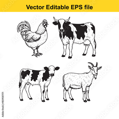  vector illustrations of farm animals including a rooster and cow on white background